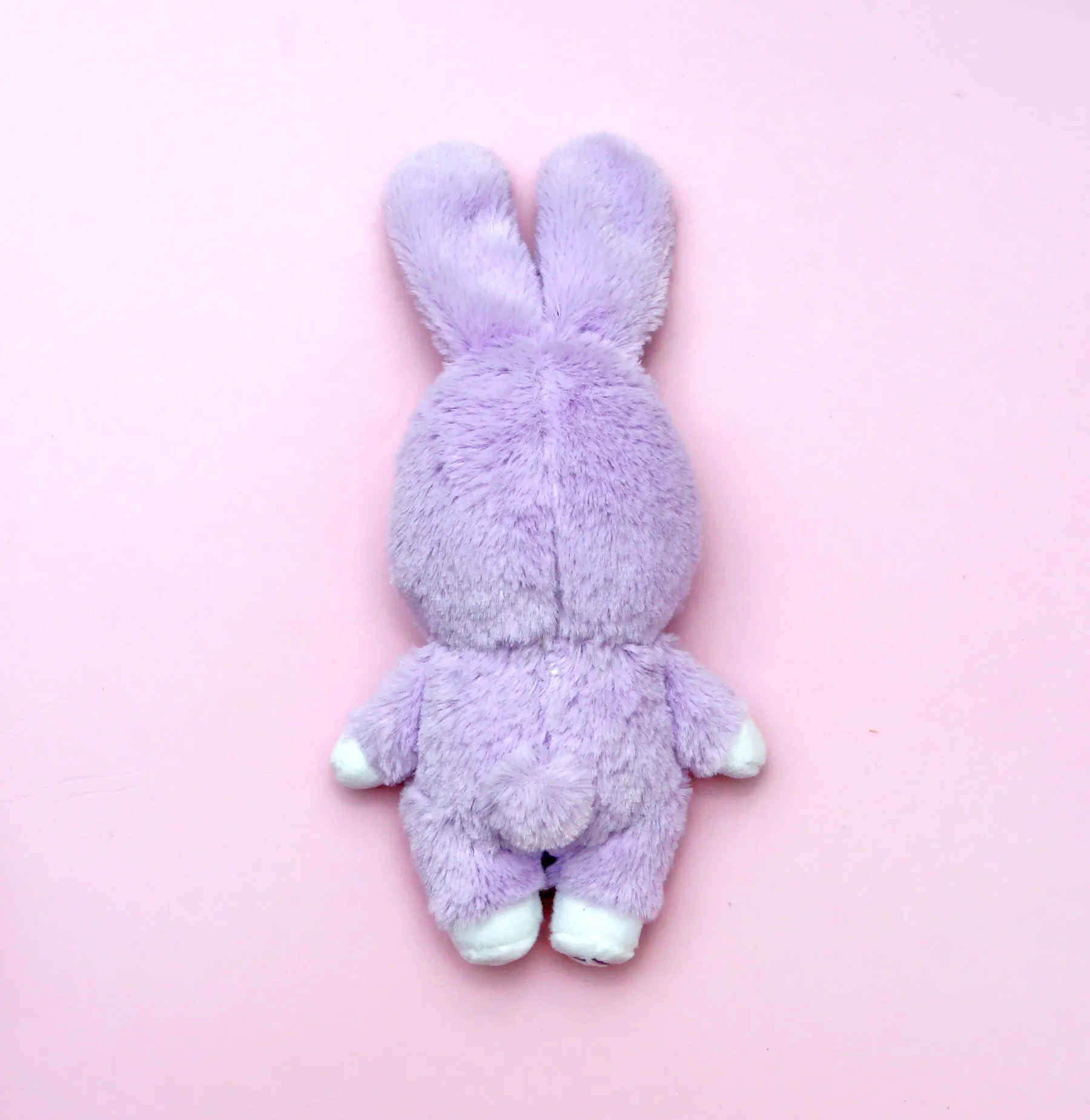 Bani plush ✦RARE✦ •ᆺ•