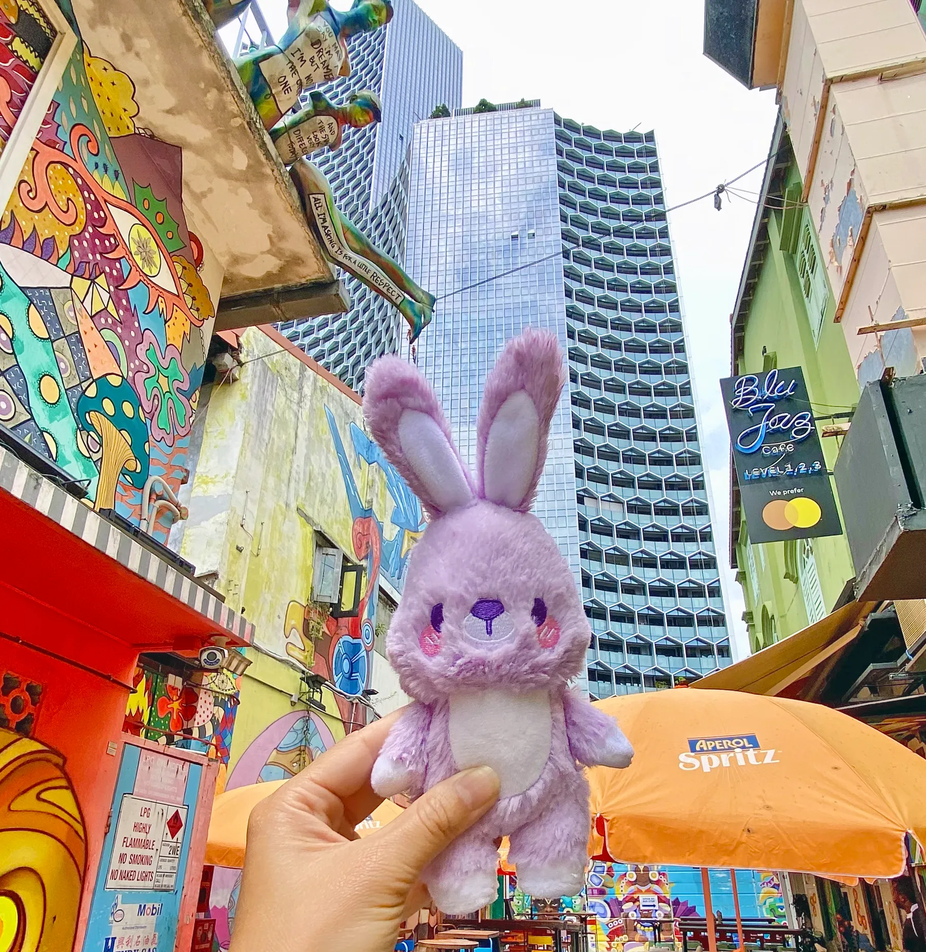 Bani plush ✦RARE✦ •ᆺ•