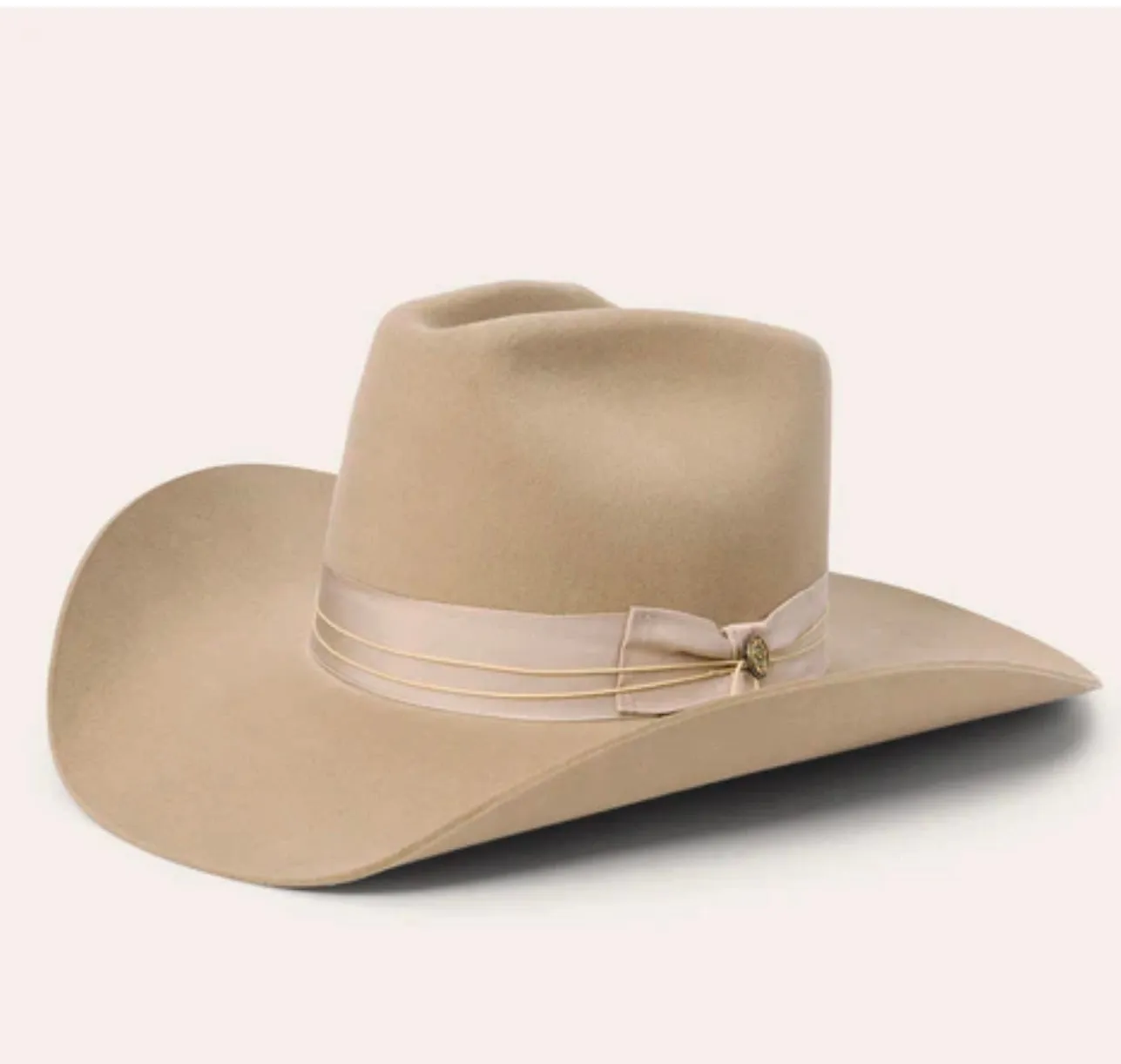 Enigma x Stetson