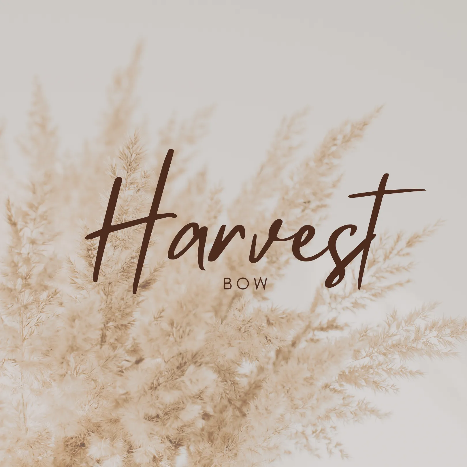 Harvest Bow