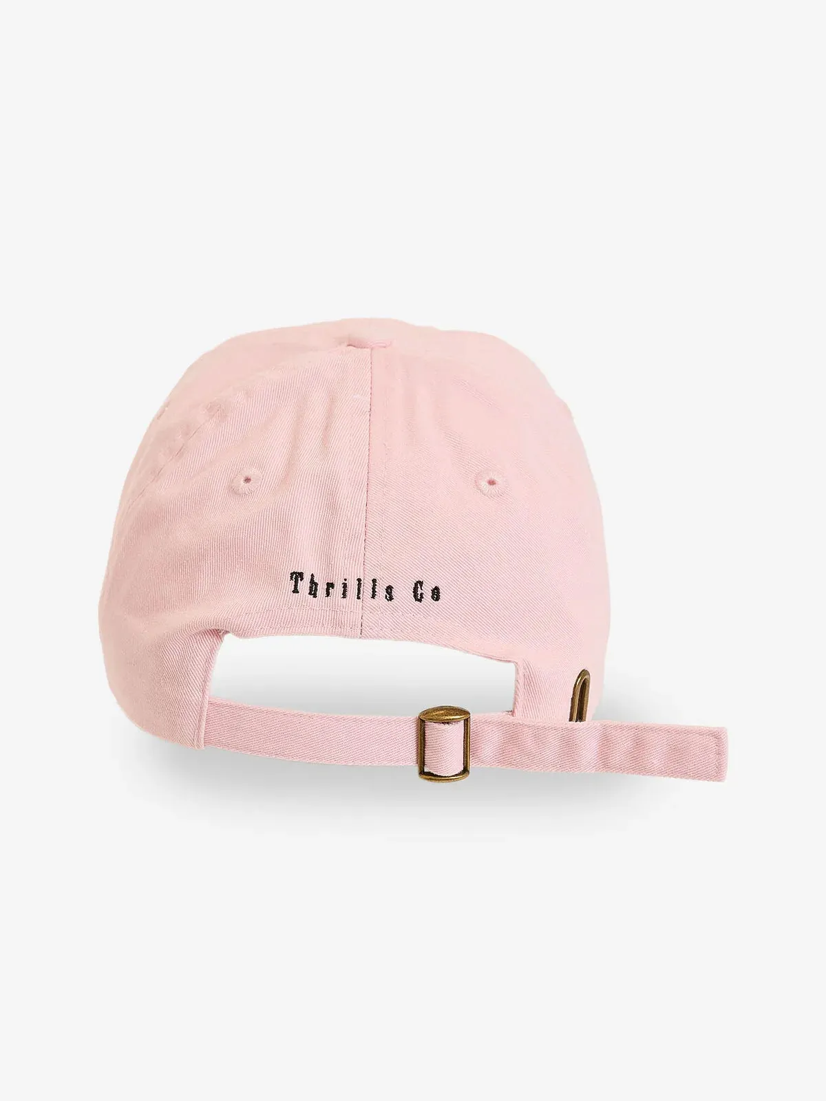 Highly Evolved 6 Panel Cap