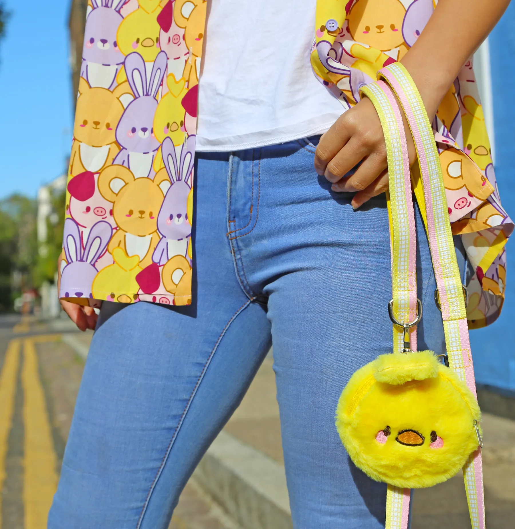 Hiyoko coin bag ✦RARE✦ •⊝•