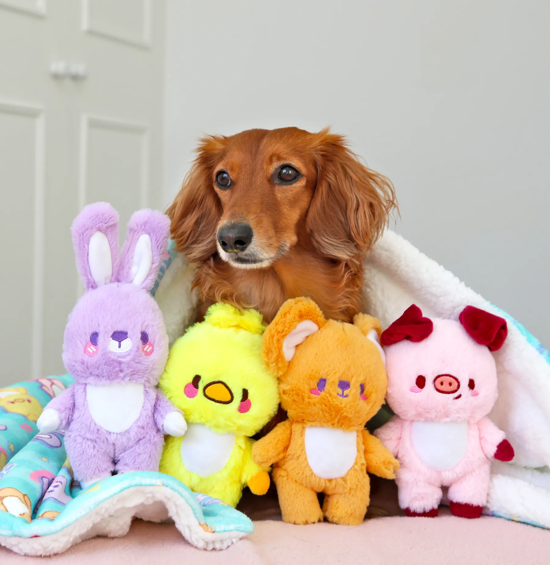 Kobuta plush ✦RARE✦  •⚇•