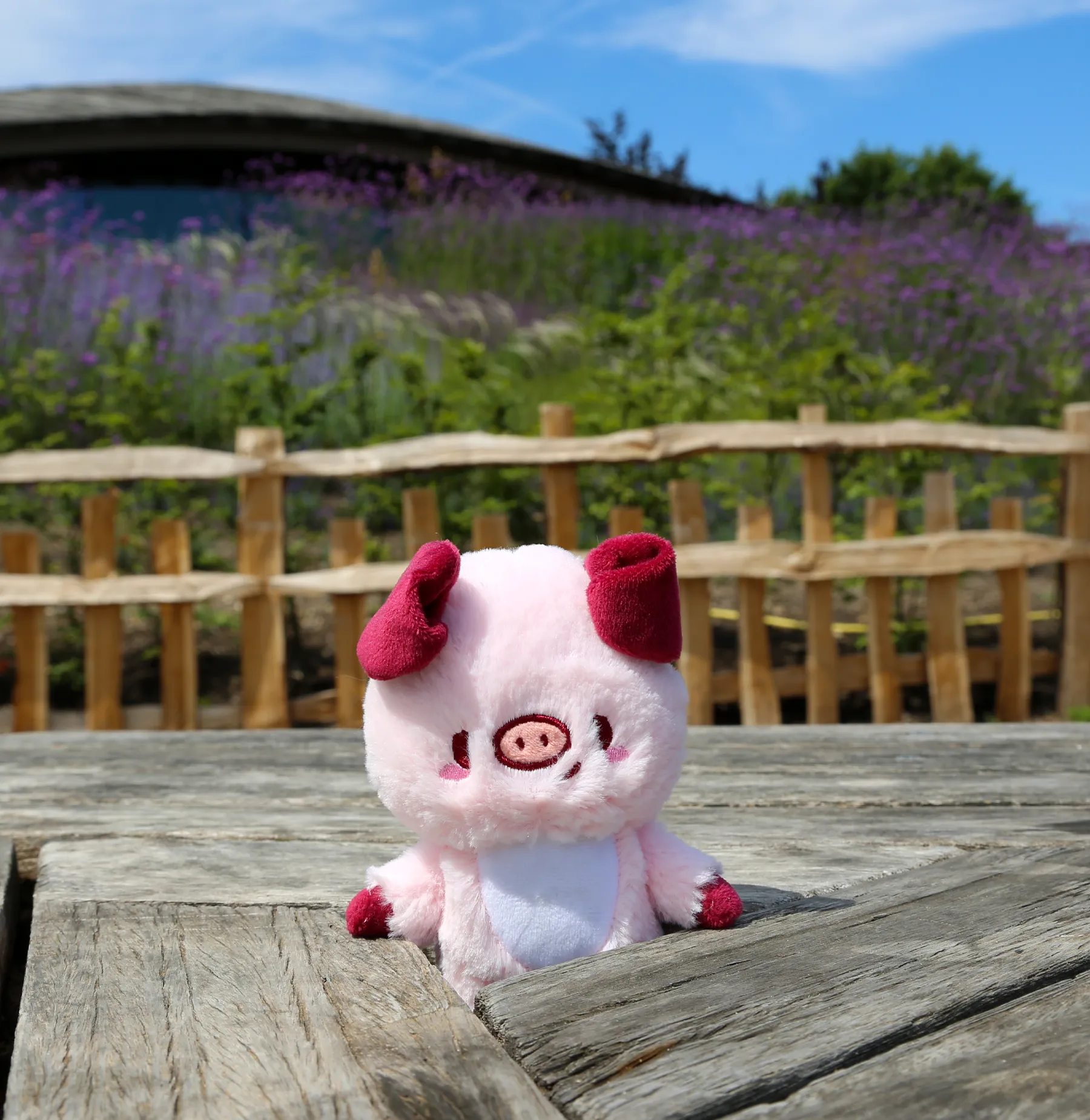 Kobuta plush ✦RARE✦  •⚇•
