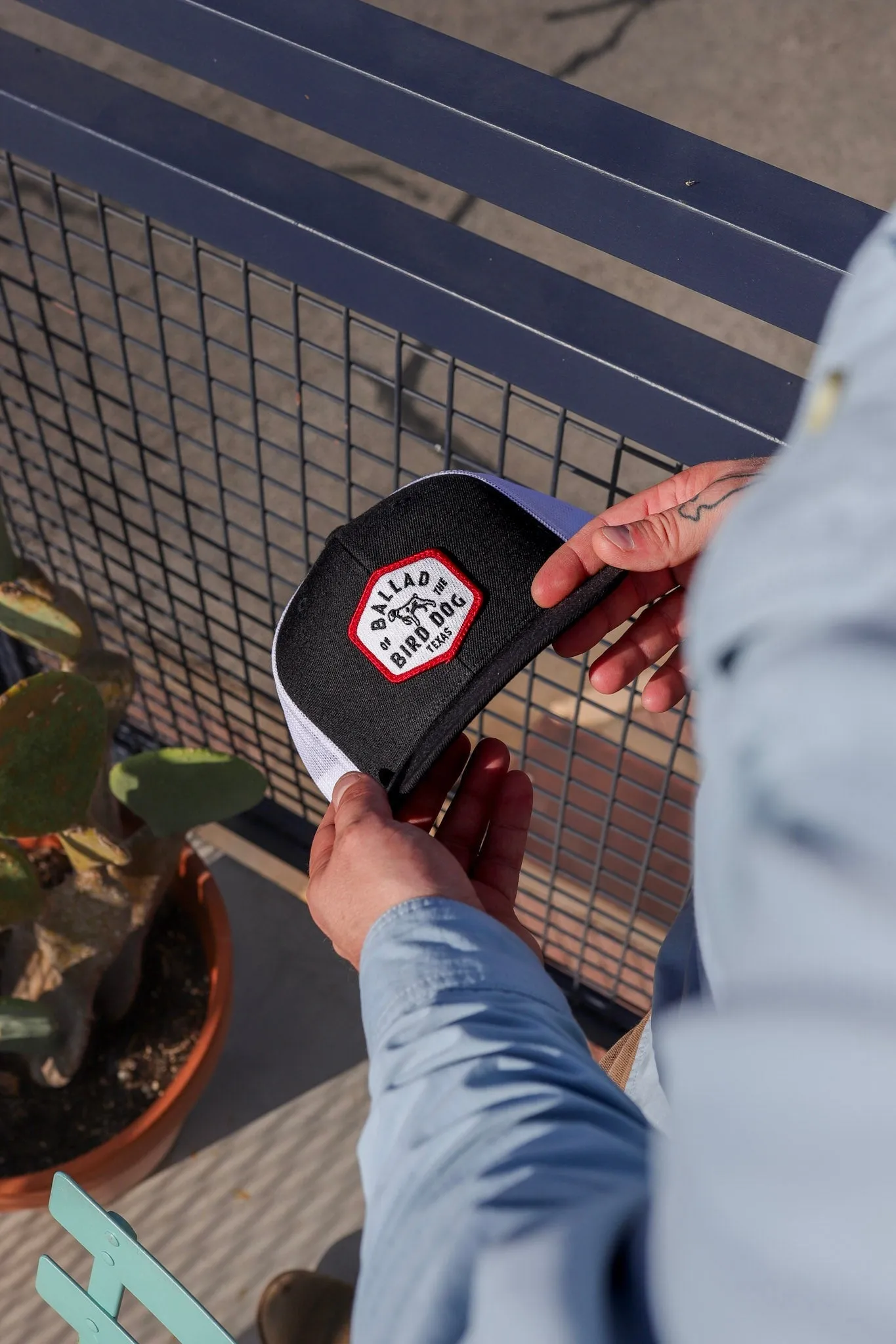 Shop Hat | Field Companion | Ballad of the Bird Dog
