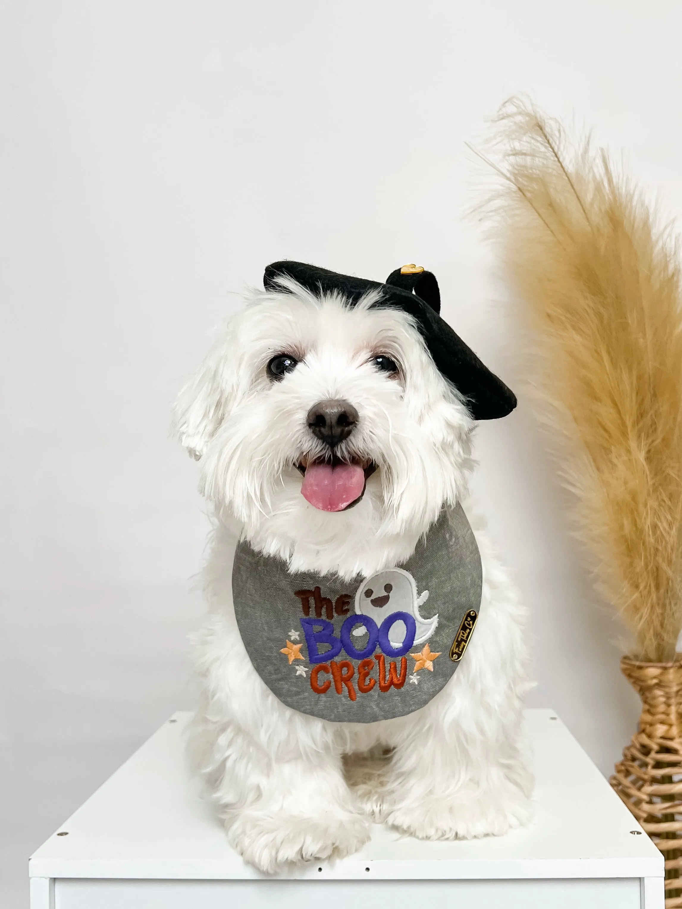 The Boo Crew Bandana
