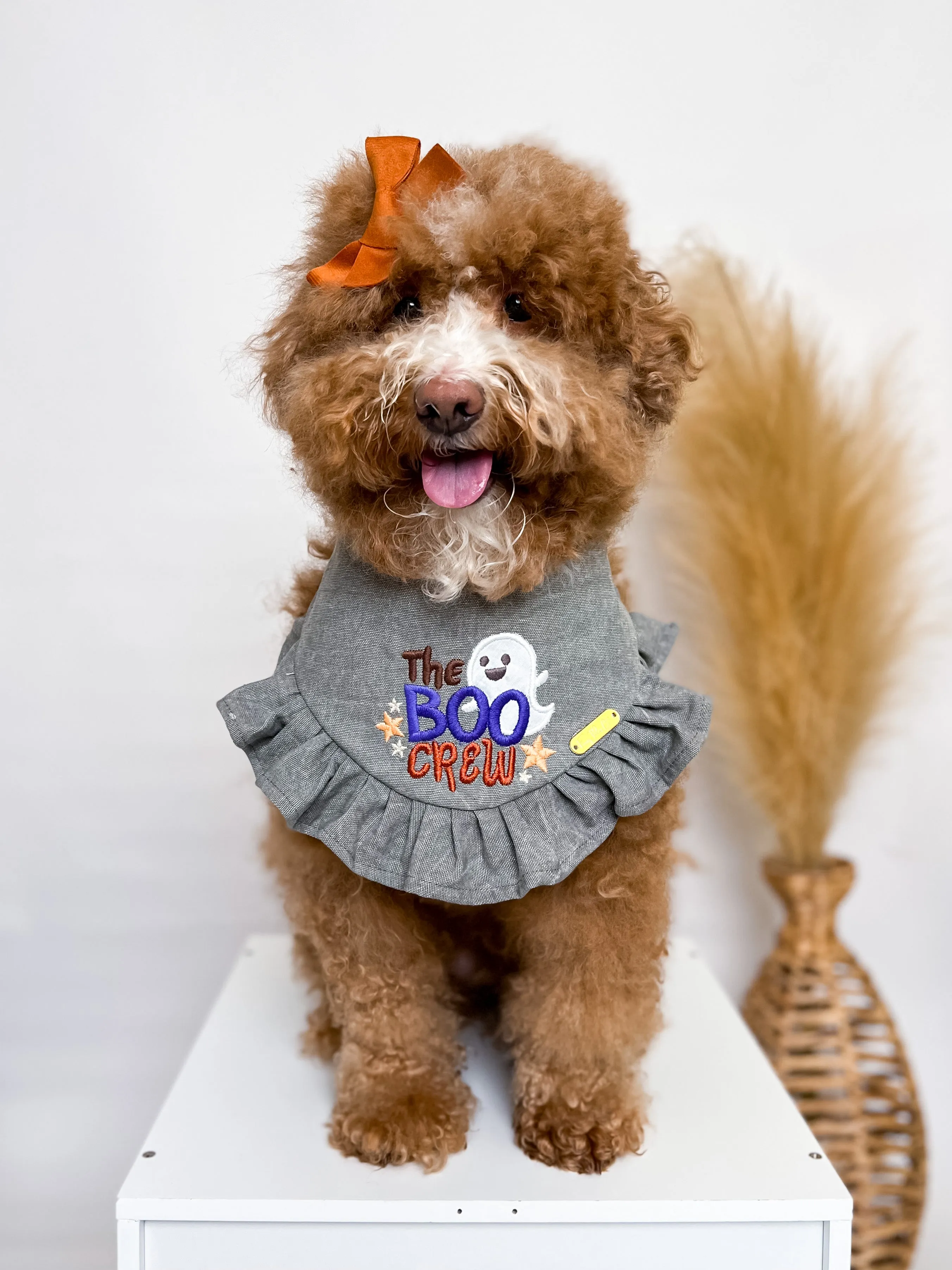The Boo Crew Bandana
