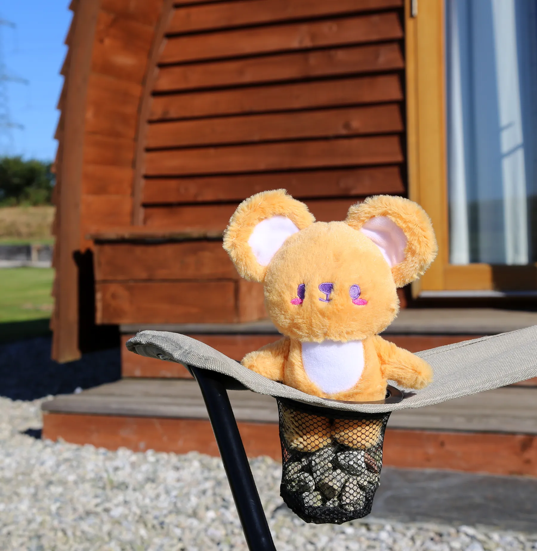Tomo-kuma plush •ᴥ• ふわふわクマ ✦RARE✦