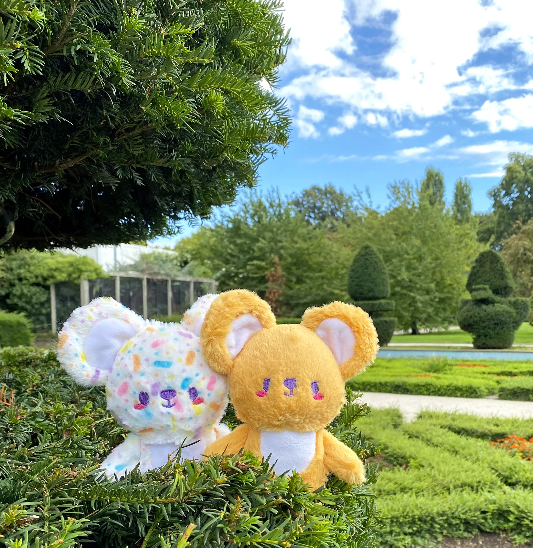 Tomo-kuma plush •ᴥ• ふわふわクマ ✦RARE✦